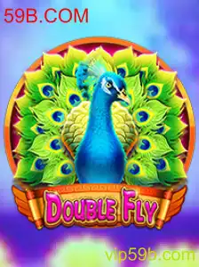 Explorando o Jogo DoubleFly: Regras e Introdução